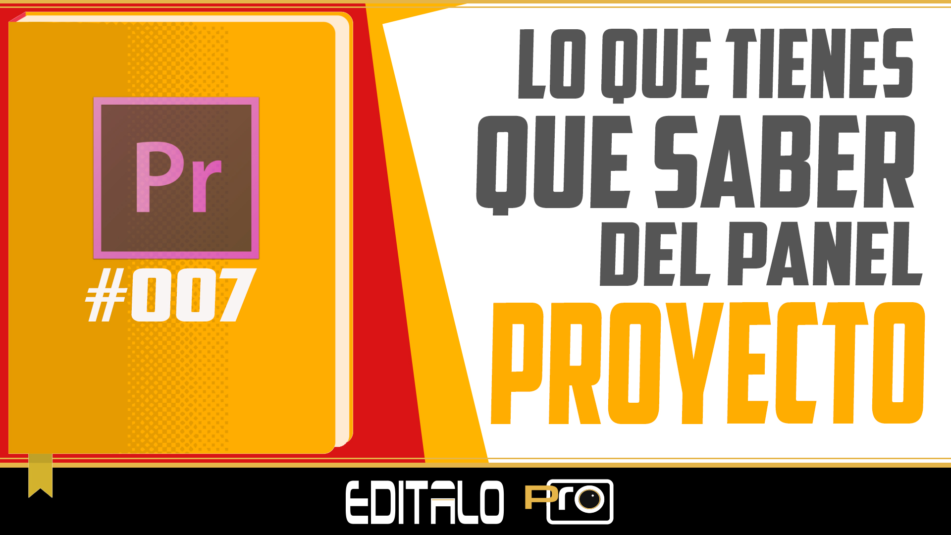 %feditalo pro% Lo que tienes que saber del panel proyecto