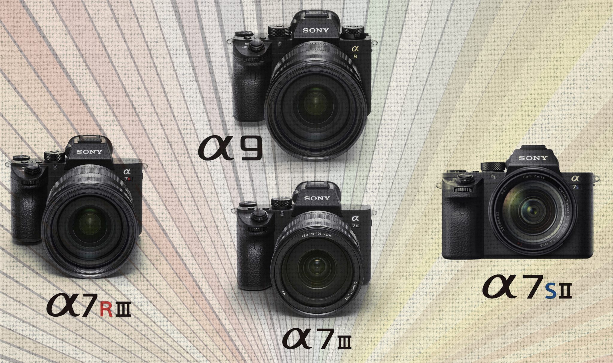 %feditalo pro% Qué cámara Sony Full Frame comprar